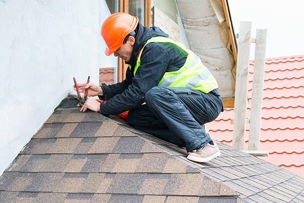 Best Roof Gutter Cleaning  in Pearsall, TX